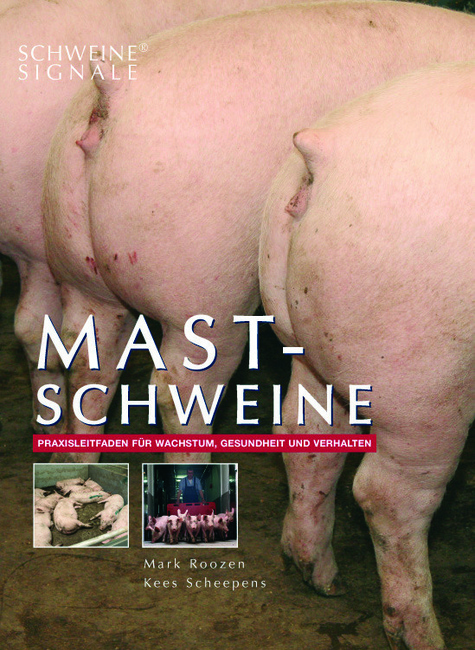 Schweinesignale: Mastschweine - Mark Roozen, Kees Scheepens