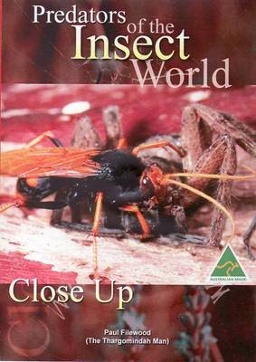 Predators of the Insect World