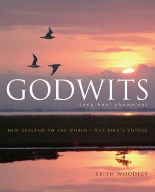 Godwits: Long Haul Champions