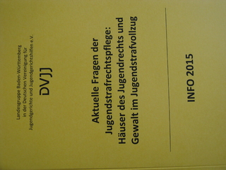 Aktuelle Fragen der Jugendstrafrechtspflege: Häuser des Jugendrechts und Gewalt im Jugendstrafvollzug
