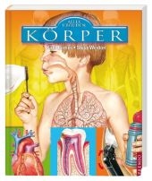 Alles über den Körper