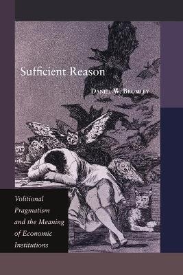 Sufficient Reason - Daniel W. Bromley