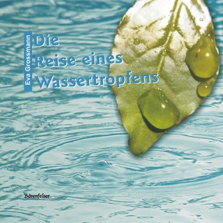 Die Reise eines Wassertropfens