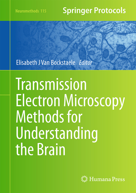 Transmission Electron Microscopy Methods for Understanding the Brain - 