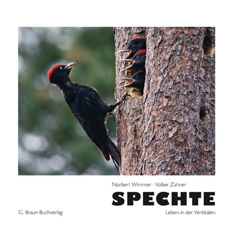 Spechte - Norbert Wimmer, Volker Zahner