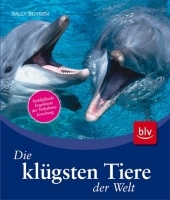 Die klügsten Tiere der Welt