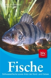 Fische - Andreas Ness, Harald Gebhardt