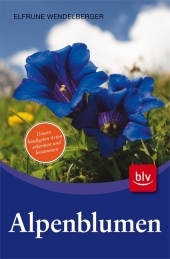 Alpenblumen