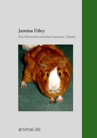 Ein Meerschweinchen namens Timmi
