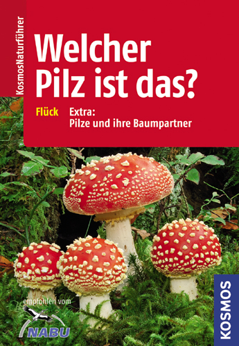 Welcher Pilz ist das? - Markus Fl&uuml;ck