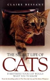 The Secret Life of Cats - Claire Bessant