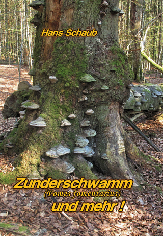 Zunderschwamm und mehr