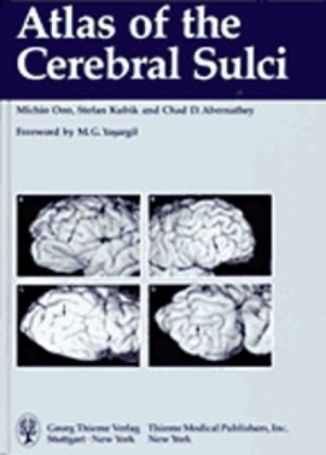 Atlas of the Cerebral Sulci - Stefan Kubik, M. Ono, S. Kubick, C. D. Abernathey