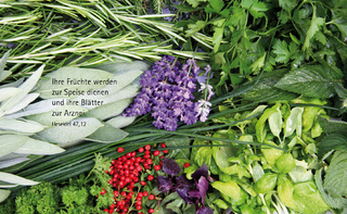 Vesperbrettchen / Frühstücksbrettchen Kräuter