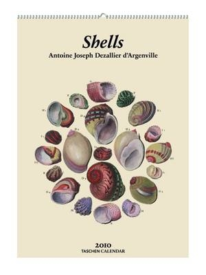 2010 Shells