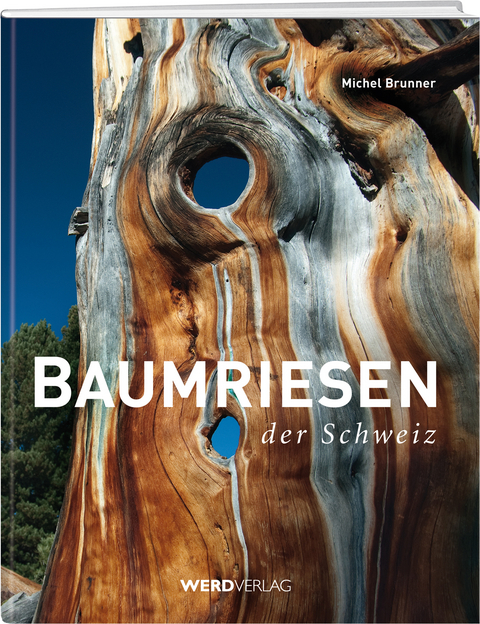 Baumriesen der Schweiz - Michel Brunner