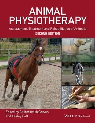 Animal Physiotherapy - 