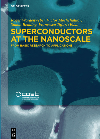 Superconductors at the Nanoscale