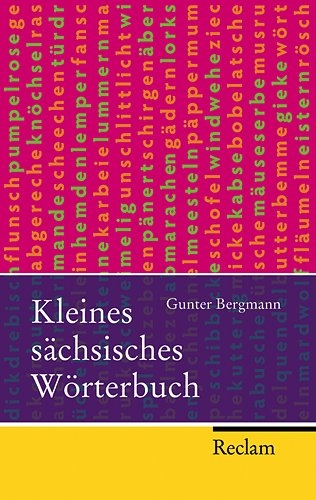 Kleines s&auml;chsisches W&ouml;rterbuch - Gunter Bergmann