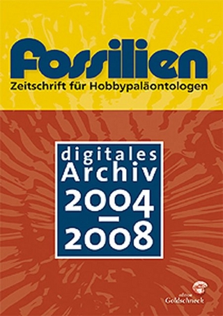 FOSSILIEN: Digitales Archiv 2004-2008