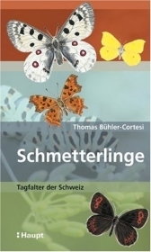 Schmetterlinge