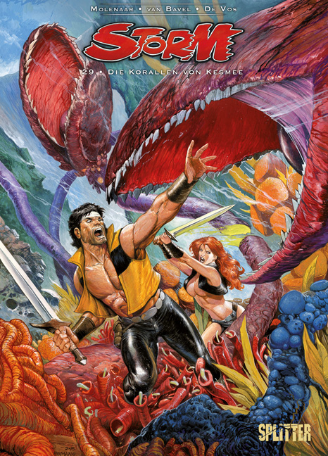 Storm. Band 29 - Rob van Bavel, Romano Molenaar