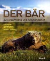 Der Bär