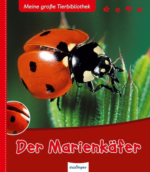 Meine gro&szlig;e Tierbibliothek: Der Marienk&auml;fer - Val&eacute;rie Tracqui
