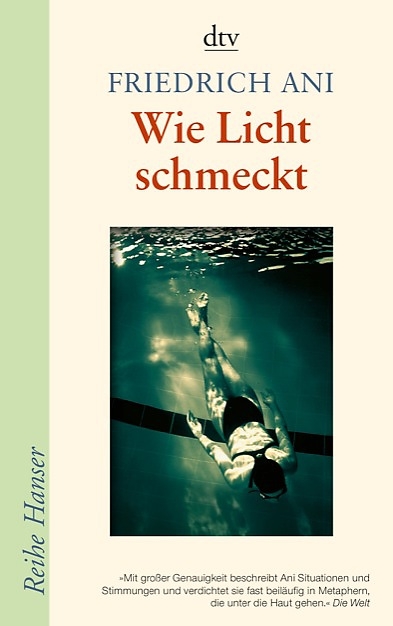 Wie Licht schmeckt - Friedrich Ani