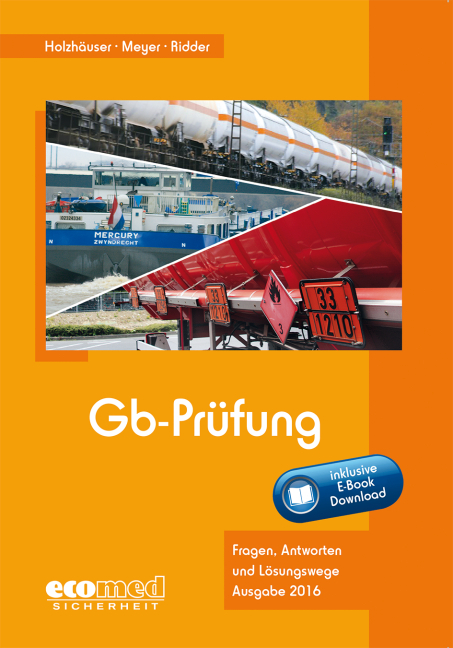 Gb-Pr&uuml;fung inklusive E-Book - J&ouml;rg Holzh&auml;user, Klaus Ridder, Irena Meyer