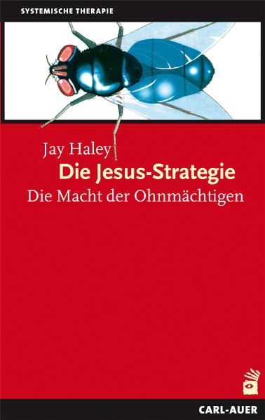 Die Jesus-Strategie - Jay Haley