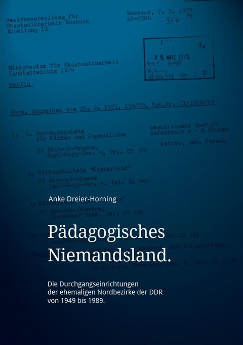 P&auml;dagogisches Niemandsland. - Anke Dreier-Horning