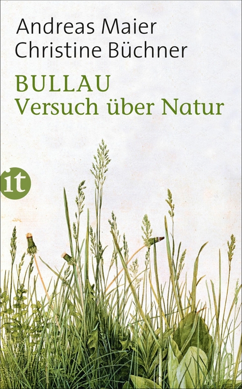 Bullau - Andreas Maier, Christine B&uuml;chner