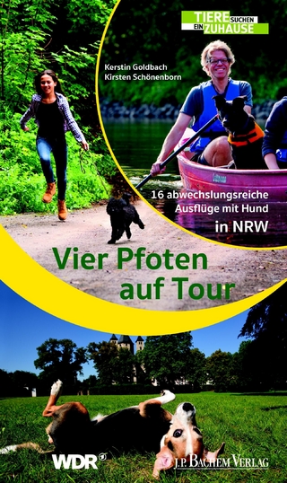 Vier Pfoten auf Tour