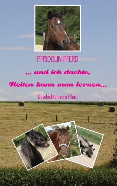 ... und ich dachte, Reiten kann man lernen... - Pfridolin Pferd