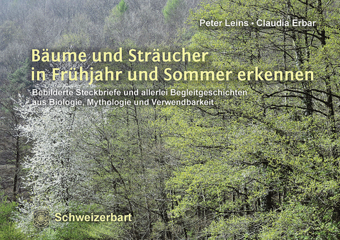 B&auml;ume und Str&auml;ucher in Fr&uuml;hjahr und Sommer erkennen - Peter Leins, Claudia Erbar