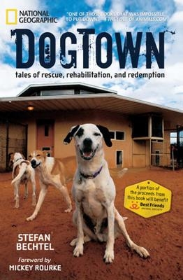 DogTown - Stefan Bechtel