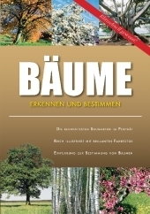 Bäume