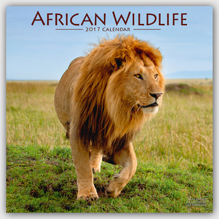 African Wildlife Calendar 2017