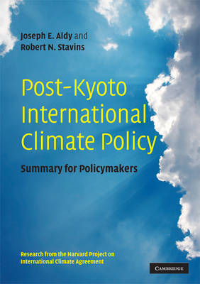 Post-Kyoto International Climate Policy - 