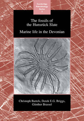 The Fossils of the Hunsr&uuml;ck Slate - Christoph Bartels, Derek E. G. Briggs, G Brassel