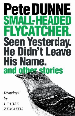 Small-headed Flycatcher. Seen Yesterday. He Didn't Leave His Name. - Pete Dunne