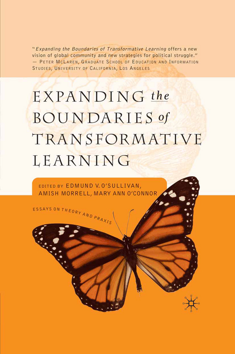Expanding the Boundaries of Transformative Learning - 