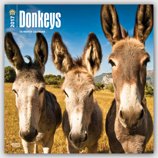 Donkeys 2017 Wall