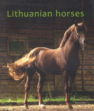 Lithuanian Horses