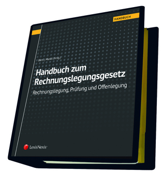 Handbuch zum Rechnungslegungsgesetz - Rechnungslegung, Prüfung und Offenlegung
