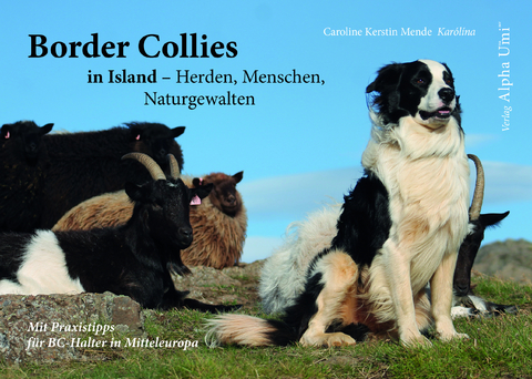 Border Collies in Island - Herden, Menschen, Naturgewalten - Caroline Kerstin Mende