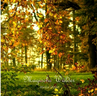 Magische Wälder