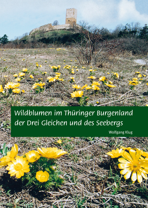Wildblumen im Th&uuml;ringer Burgenland