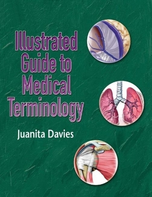 Illustrated Guide to Medical Terminology